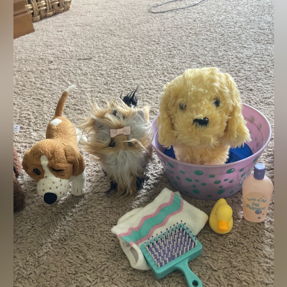 American Girl Accessories PETS